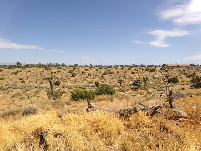Phelan Rd, Hesperia, CA à vendre - Photo de l’immeuble – Image 3 sur 10