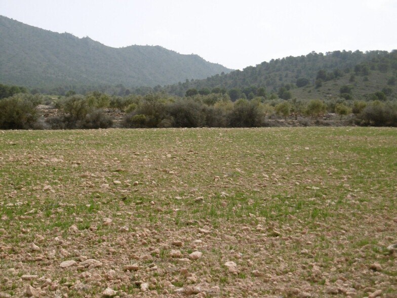 Terrain dans Yecla, Murcia à vendre - Aérien – Image 1 sur 3