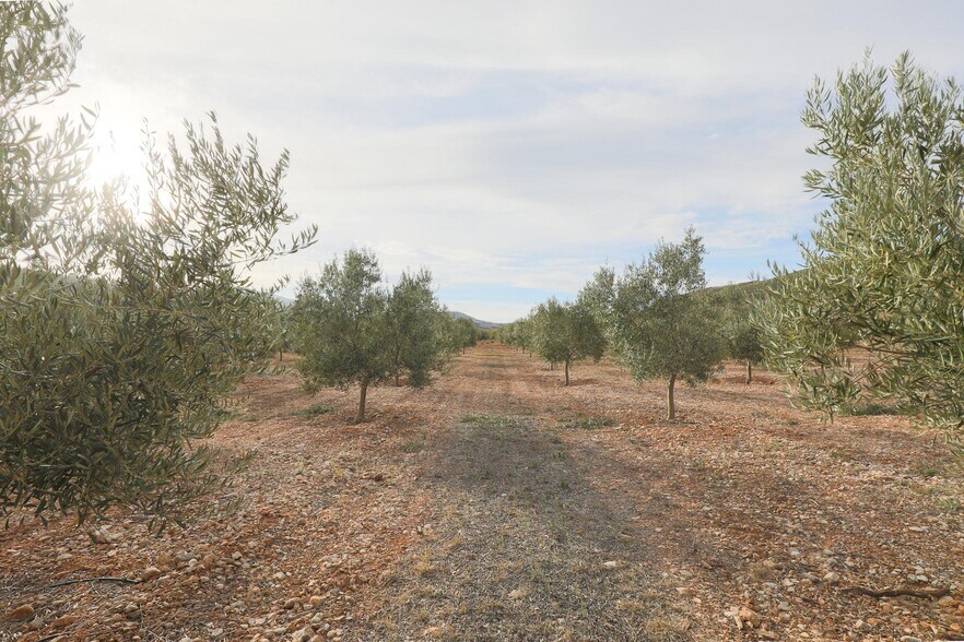 Cijancos, 1-1, Villamena, Granada à vendre - Photo de l’immeuble – Image 2 sur 29