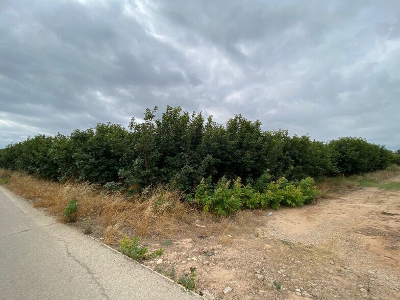 Albalat, Carlet, Alrededores, Carlet, Valencia à vendre - Photo principale – Image 3 sur 7
