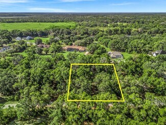 Plus de détails pour 4140 Kenvera loop, Inverness, FL - Terrain à vendre