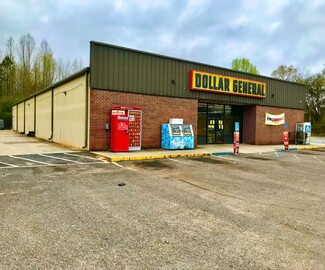 Plus de détails pour 7519 Theodore Dawes Rd, Theodore, AL - Local commercial à vendre