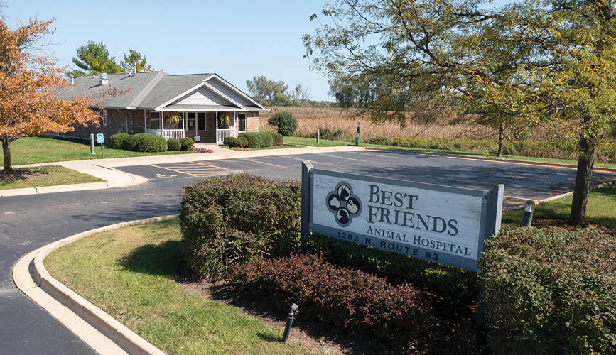 1203 N Il Route 83, Grayslake, IL à vendre - Photo de l’immeuble – Image 2 sur 2