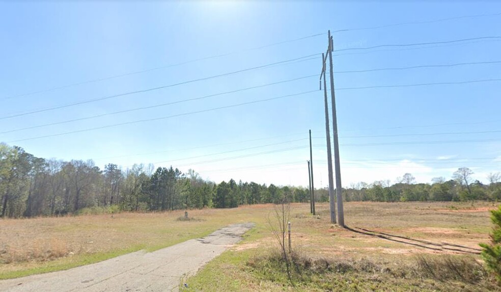0 US 280 Hwy, Americus, GA à vendre - Photo principale – Image 1 sur 1