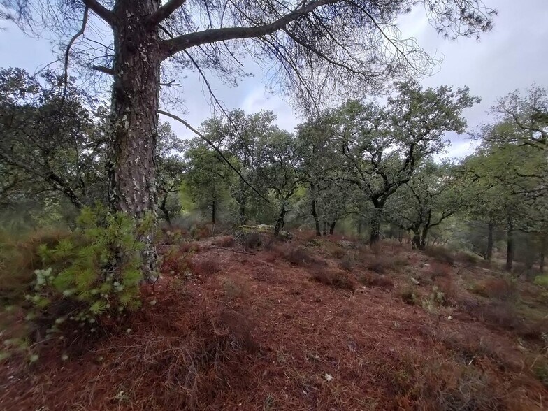 Terrain dans Córdoba, Córdoba à vendre - Photo de l’immeuble – Image 2 sur 6