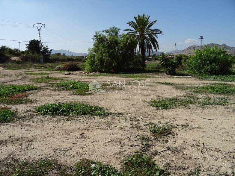 Terrain dans Aspe, Alicante à vendre - Photo principale – Image 3 sur 7