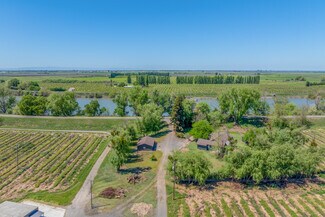 Plus de détails pour 15511 Isleton Rd, Isleton, CA - Local commercial à louer