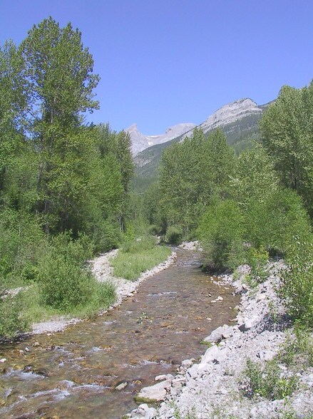 15 Alpine Trail Cres, Fernie, BC à vendre - Autre – Image 3 sur 15