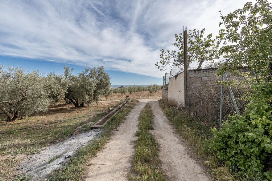 Pago de, Albolote, Granada à vendre - Plan de site – Image 3 sur 12