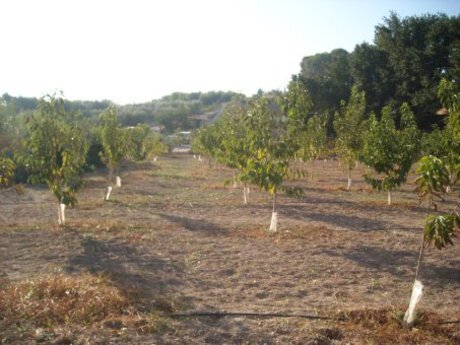 Terrain dans Calasparra, Murcia à vendre Photo de l’immeuble– Image 1 sur 15