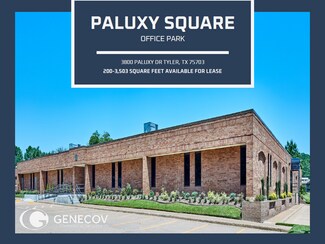Plus de détails pour 3800 Paluxy Dr, Tyler, TX - Bureau à louer