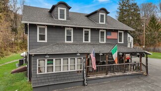 Plus de détails pour 553 County Road 94, Hankins, NY - Local commercial à vendre