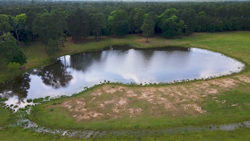26250B Riley Road, Waller, TX à vendre - Vidéo sur l’annonce professionnelle – Image 2 sur 38