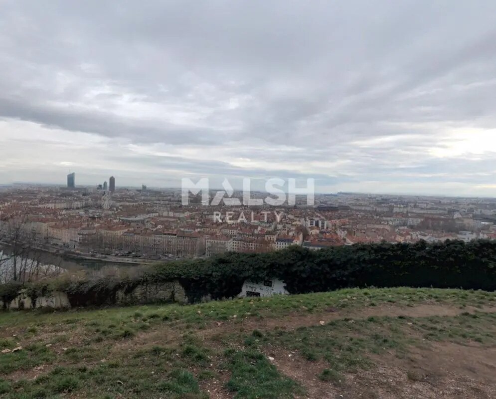 Local commercial dans Lyon à louer Aérien– Image 1 sur 4