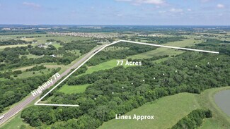 Plus de détails pour 77 Acres N State Hwy 78, Farmersville, TX - Terrain à vendre