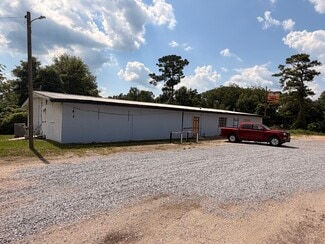 Plus de détails pour 1095 US Highway 231, Brundidge, AL - Local commercial à vendre