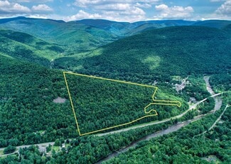 Plus de détails pour TBD NY-28, Phoenicia, NY - Terrain à vendre