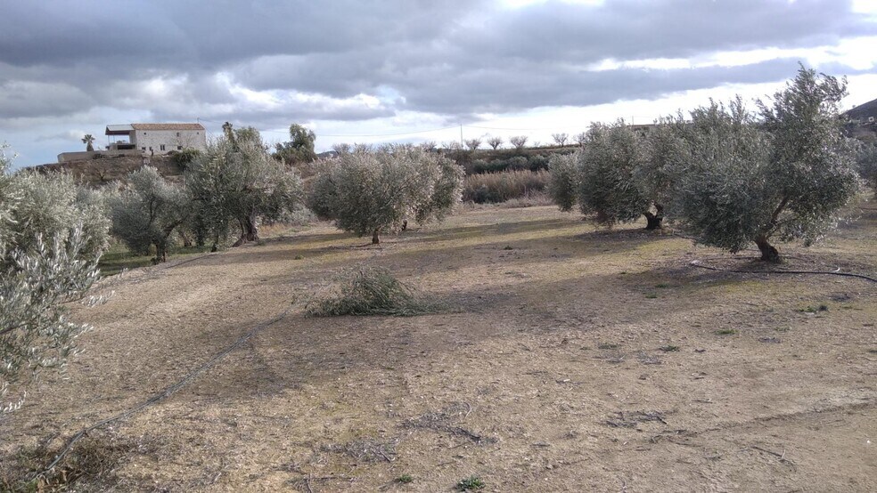 Terrain dans Calasparra, Murcia à vendre - Photo de l’immeuble – Image 2 sur 26