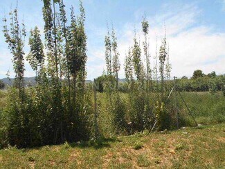 Plus de détails pour del, 435, Murcia - Terrain à vendre