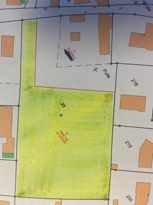 Terrain dans LA CHAPELLE-D'ALIGNE à vendre Plan de site– Image 1 sur 4