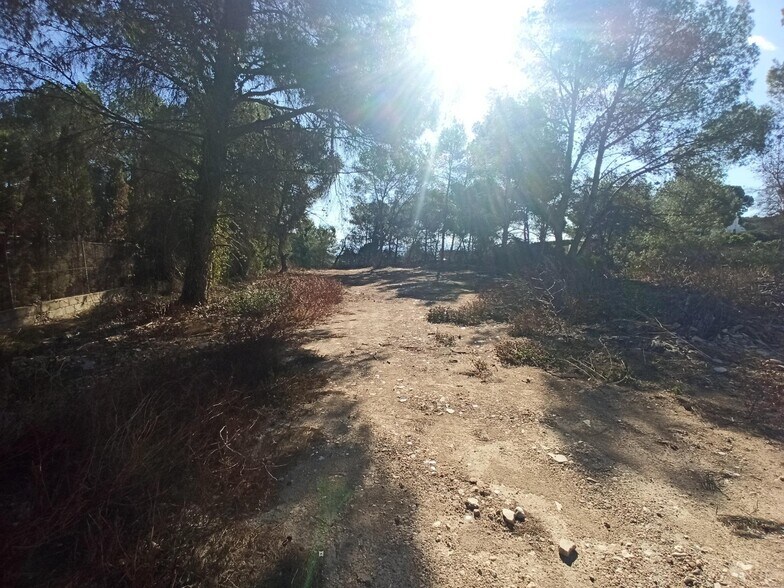 Terrain dans Alberic, Valencia à vendre - Photo principale – Image 2 sur 6