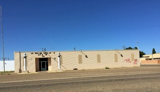 Plus de détails pour 704 N 13th St, Lamesa, TX - Spécialisé à vendre
