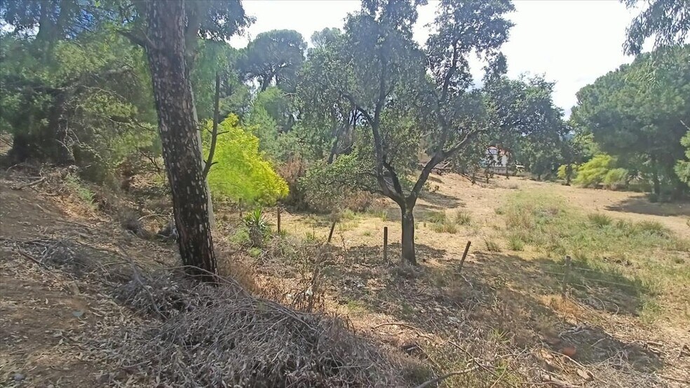 Camino Campamento, Córdoba, Córdoba à vendre - Photo principale – Image 1 sur 31