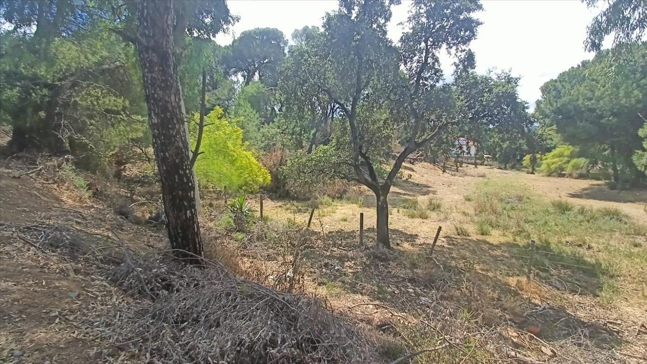Camino Campamento, Córdoba, Córdoba à vendre Photo principale– Image 1 sur 32