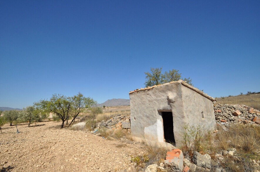 Terrain dans Jumilla, Murcia à vendre - Photo principale – Image 1 sur 13