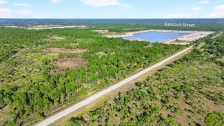 Plus de détails pour 9500 Babcock St W, Palm Bay, FL - Terrain à vendre
