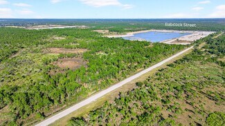 Plus de détails pour 9500 Babcock St W, Palm Bay, FL - Terrain à vendre