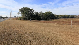 Plus de détails pour US Hwy 129, Live Oak, FL - Terrain à vendre