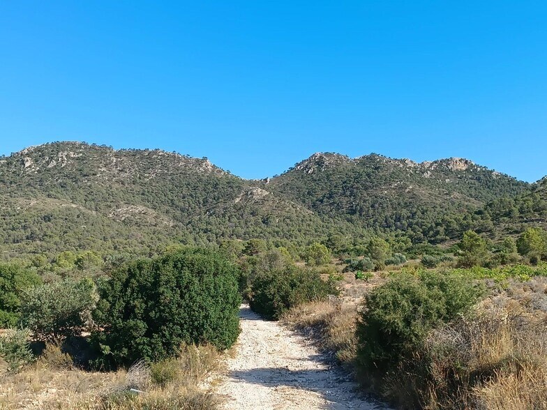 Terrain dans Yecla, Murcia à vendre - Aérien – Image 3 sur 3