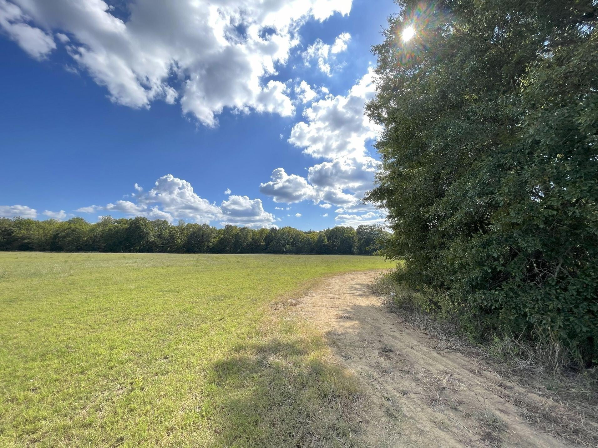 County 21 & Bell Grayson Road hwy, Demopolis, AL à vendre Photo principale– Image 1 sur 14