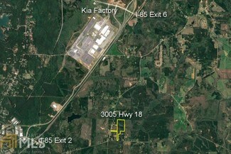 Plus de détails pour 3005 State Route 18, West Point, GA - Terrain à vendre