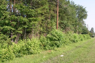 Plus de détails pour 1103 Cotton Grove Rd, Lexington, NC - Terrain à vendre