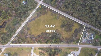 Plus de détails pour 2050 Paul S Buchman Hwy, Zephyrhills, FL - Terrain à vendre