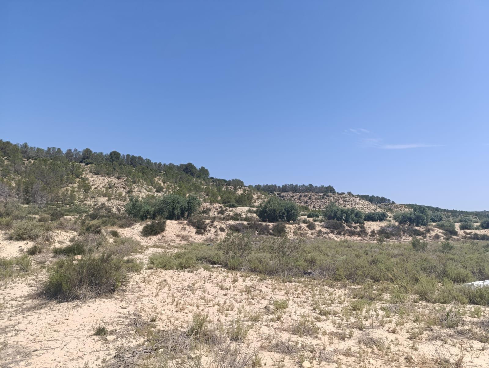Terrain dans Albudeite, Murcia à vendre Aérien– Image 1 sur 4