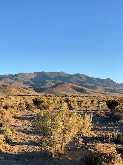 View Photo
