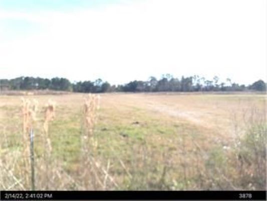 2337 Savannah ave, Valdosta, GA à vendre Autre– Image 1 sur 2
