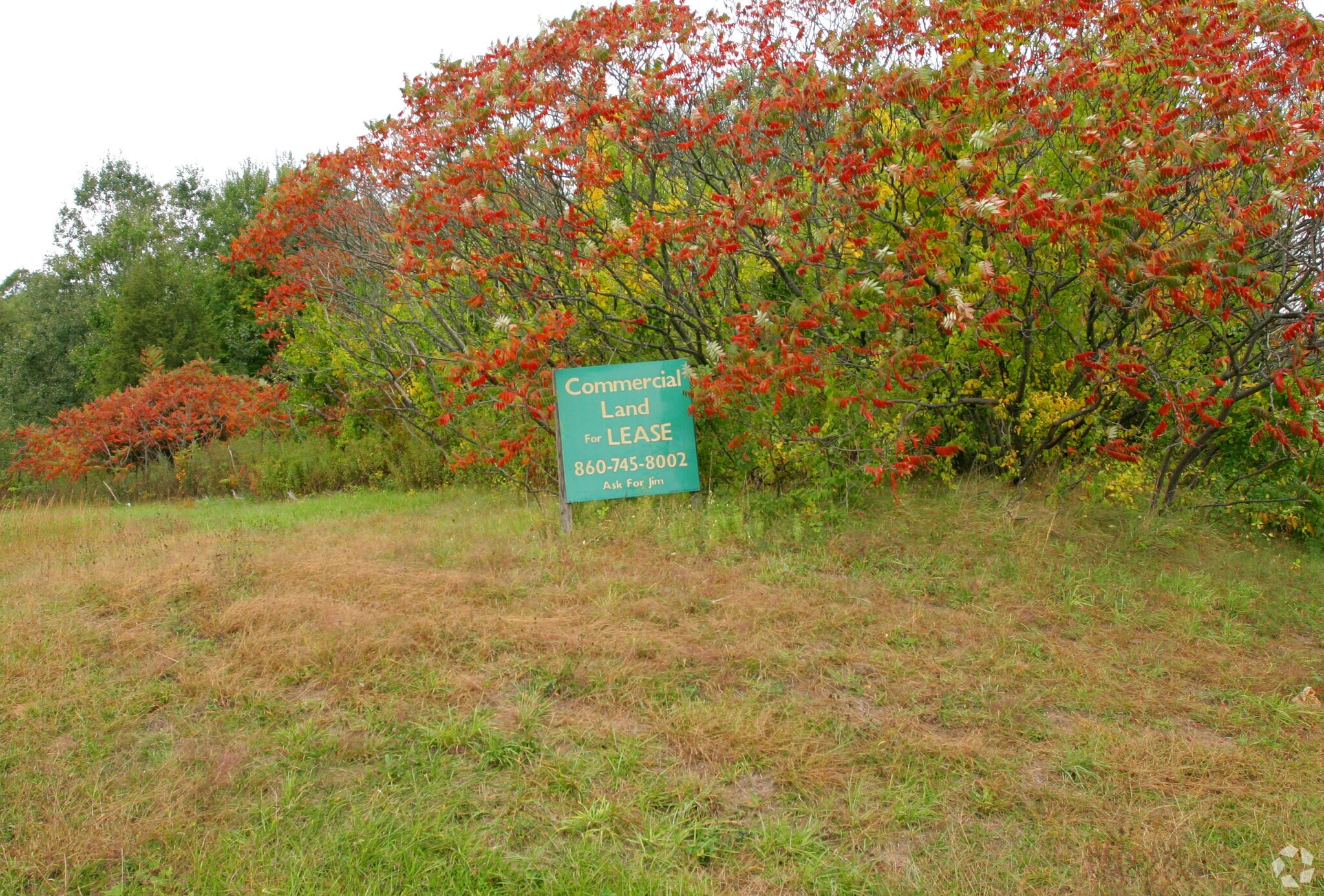 40 Rainbow Rd, East Granby, CT à louer Photo principale– Image 1 sur 4