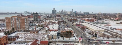301 Mount Elliott St, Detroit, MI - Vue aérienne vue de carte - Image1