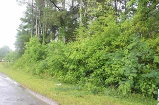 Plus de détails pour 00 County Road 770, Cullman, AL - Terrain à vendre