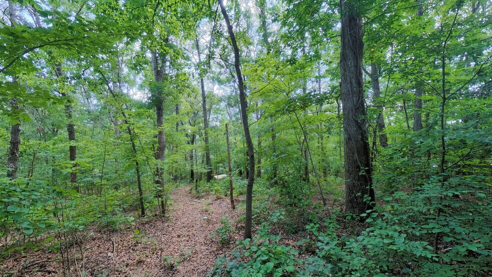 457 Pitcher Rd S, Morgantown, KY à vendre - Photo de l’immeuble – Image 2 sur 24