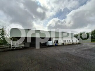 Plus de détails pour Local d'activités à louer