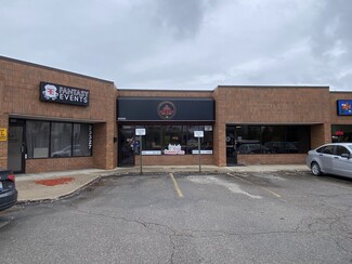 Plus de détails pour 23303-23339 Orchard Lake Rd, Farmington Hills, MI - Local commercial à louer