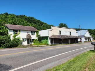 Plus de détails pour 11971 Route 42, Muncy Valley, PA - Local commercial à vendre