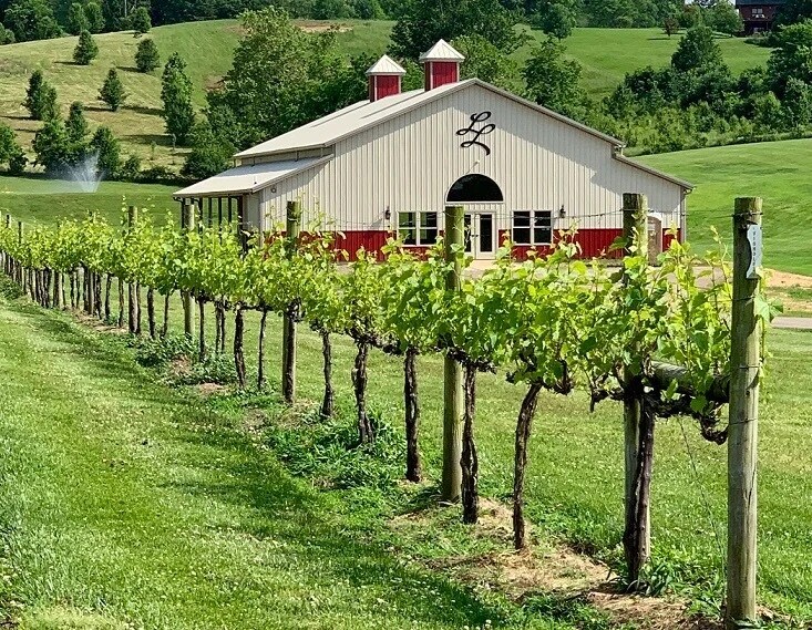 1180 Lanes Mill Rd, Lawrenceburg, KY à vendre - Photo principale – Image 1 sur 44