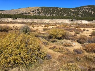 Plus de détails pour River Rd, Leadville, CO - Terrain à vendre
