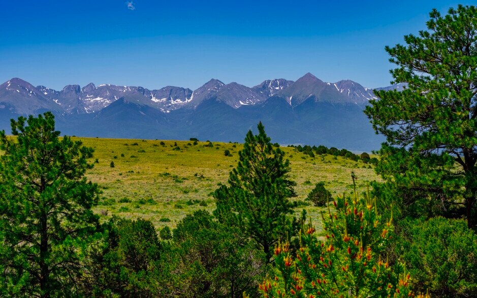 525 Brush Hollow Rd, Westcliffe, CO à vendre - Photo principale – Image 1 sur 21